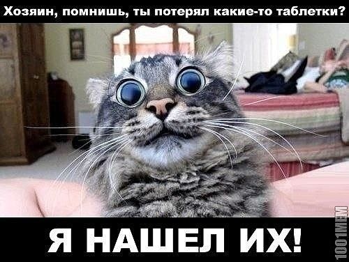 хозяин помнишь ты почеряп какие ю таблетки Я НАШЕЛ ИХ