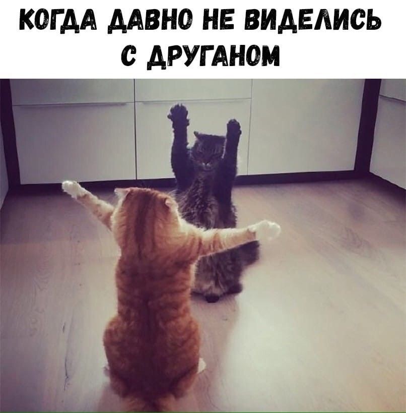 КОГДА ДАВНО НЕ ВИАЕАИСЬ С АРУГАНОМ