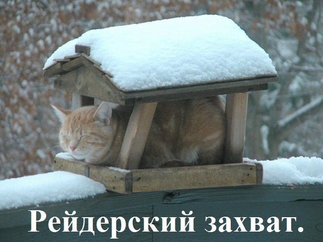 Рейдерский захват
