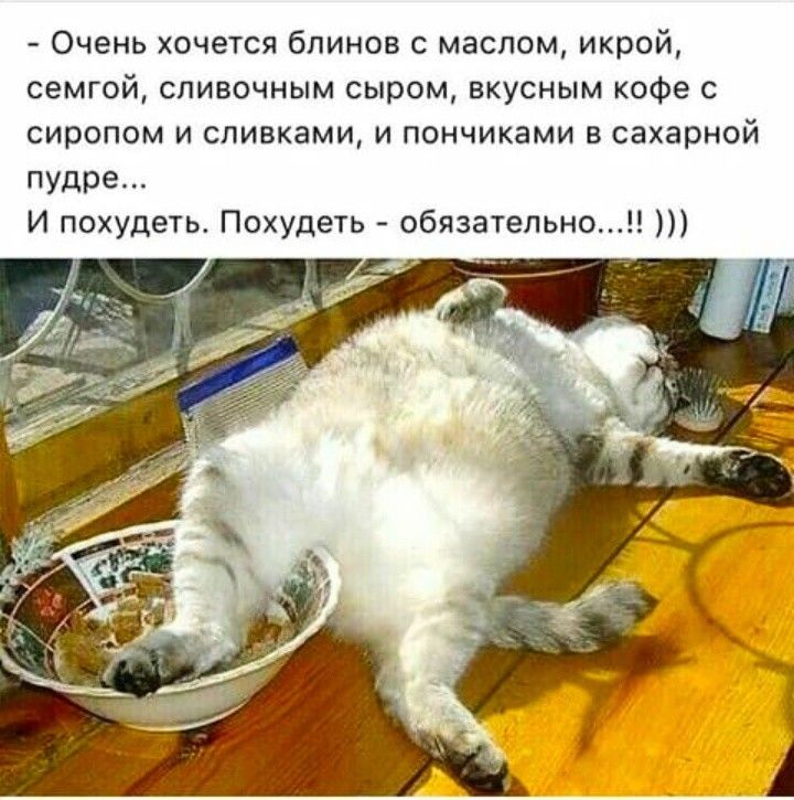 Очень хочется блинов с маслом икрой семгой сливочным сыром вкусным кофе с сиропом и сливками и пончиками в сахарной пудре И похудеть Похудеть обязательно