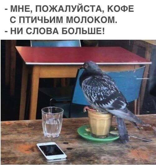 МНЕ ПОЖАЛУЙСТА КОФЕ С ПТИЧЬИМ МОЛОКОМ НИ СЛОВА БОЛЬШЕ