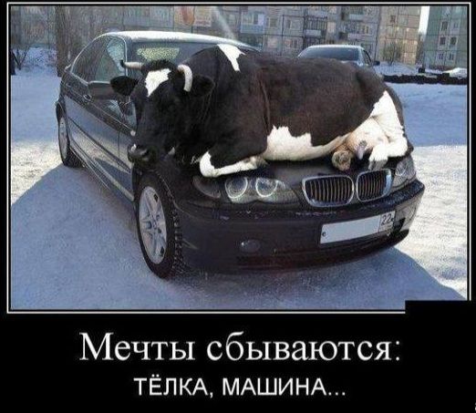 Мечты сбываются ТЁПКА МАШИНА