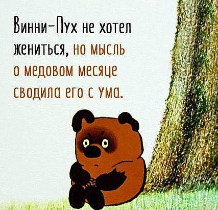 ВинниПух не хотел жениться на мыспь омедовом месяце сводила его ума