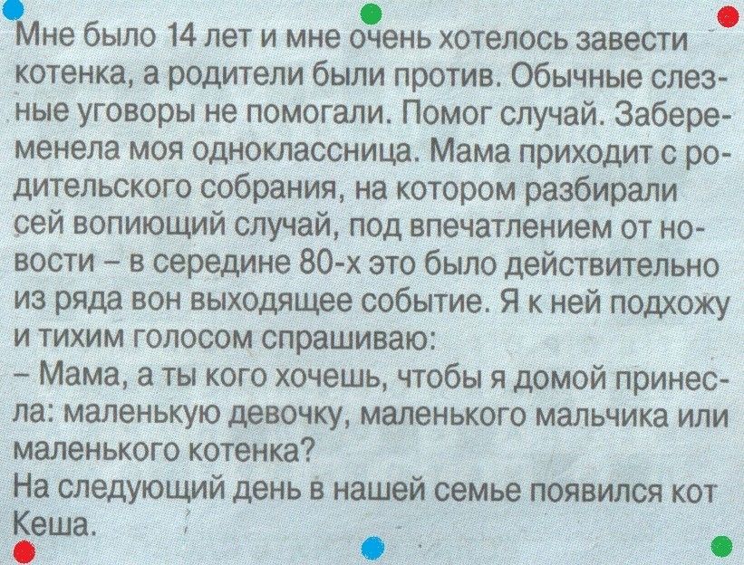 ЖА О не было 14 лет и мне очень хотелось завести котенка родители были против Обычные слез Ные уговоры не помогали Помог случай Забере менела моя одноклассница Мама приходит с ро дительского собрания на котором разбирали сей вопиющий случай под впечатлением от но вости в середине 80 х это было действительно из ряда вон выходящее событие Я к ней подхожу и тихим голосом спрашиваю Мама а ты кого хоче