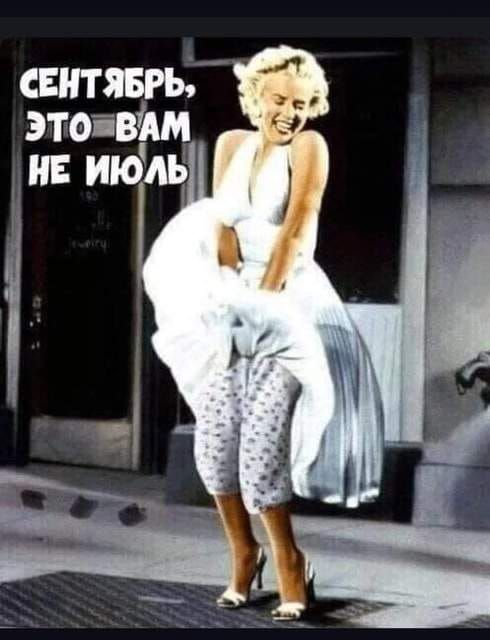 свитявгь это вм