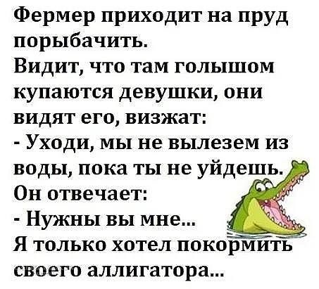 Фермер приходит на пруд порыбачить Видит что там голышом купаются девушки они видят его визжат Уходи мы не вылезем из воды пока ты не уйдешь Он отвечает Нужны вы мне _ Я только хотел покормИть своего аллигатора