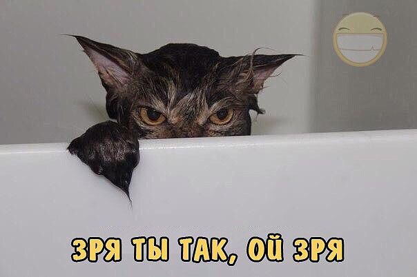 Зрядтывтаксдо шзря