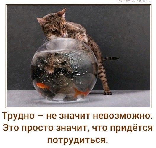 Трудно не значит невозможно Это просто значит что придётся потрудиться