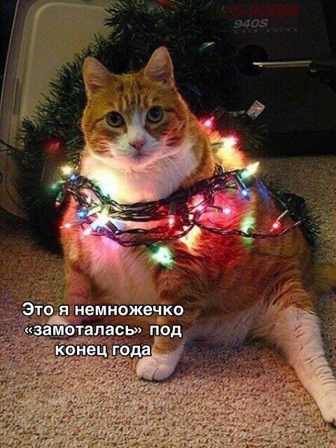 Я немножечко амэталась под 5