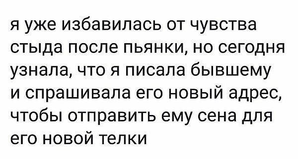 я уже избавилась от чувства стыда после пьянки но сегодня узнала что я писала бывшему и спрашивала его новый адрес чтобы отправить ему сена для его новой телки