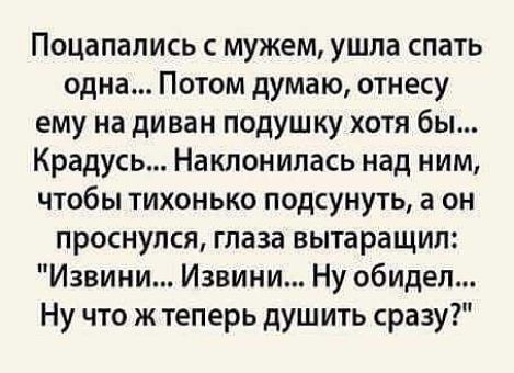 Поцапались с мужем ушла спать одна Потом думаю отнесу ему на диван подушку хотя бы Крадусь Наклонипась над ним чтобы тихонько подсунуть а он проснулся глаза вытаращип Извини Извини Ну обидел Ну что ж теперь душ ить сразу