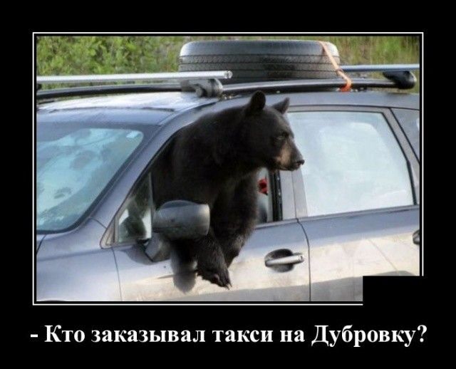 Кто заказывал такси на Дубровку