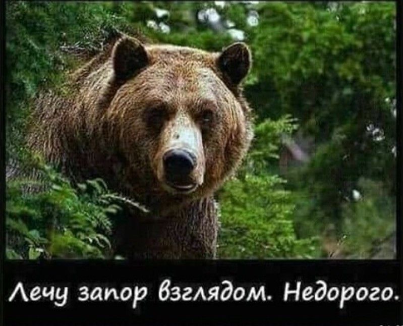 Аечу запор бзгАядом Недорого