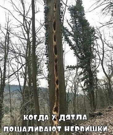 се     .