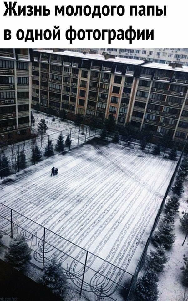 Жизнь молодого папы