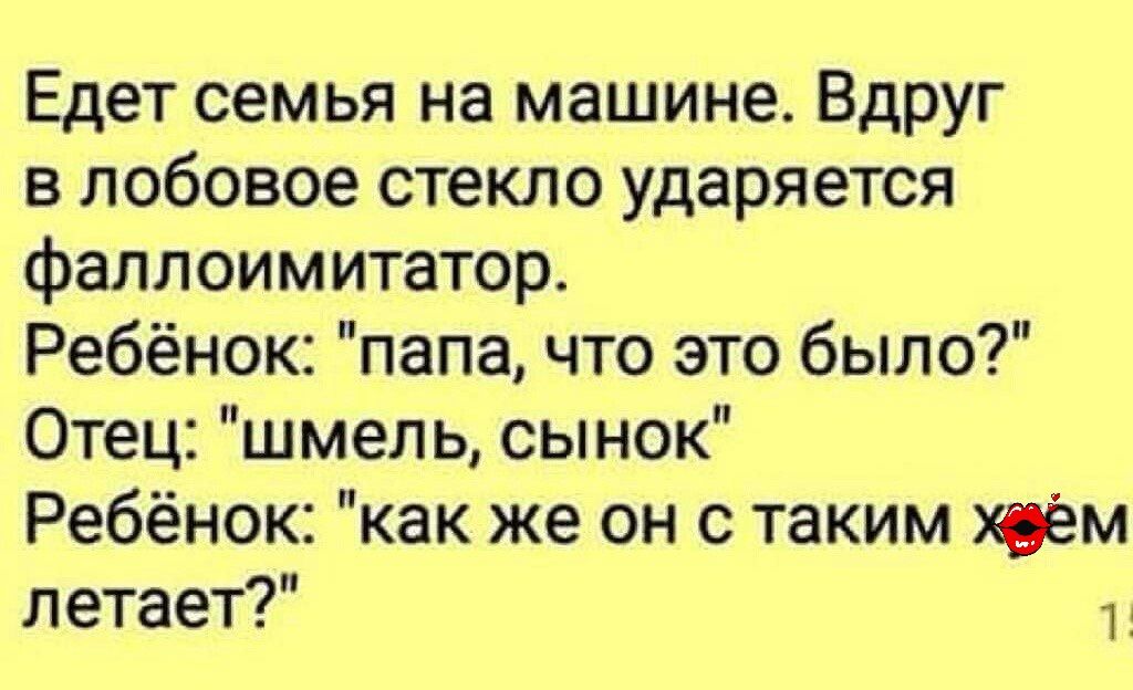 Едет семья на машине Вдруг в лобовое стекло ударяется фаллоимитатор Ребёнок папа что это было Отец шмель сынок Ребёнок как же он с таким коем летает