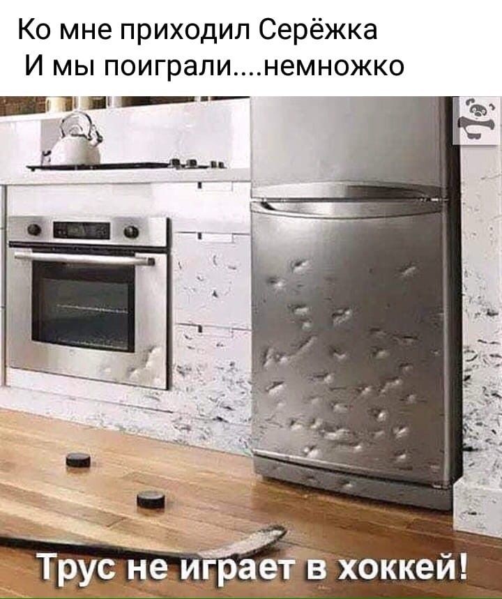 Ко мне приходил Серёжка И мы поигралинемножко 11 и аеЙТхоккей