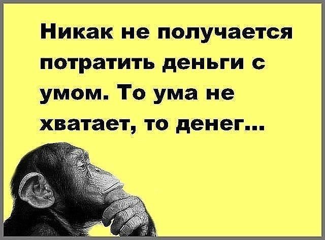 Никак не получается потратить деньги с умом То ума не хватает ТО денег