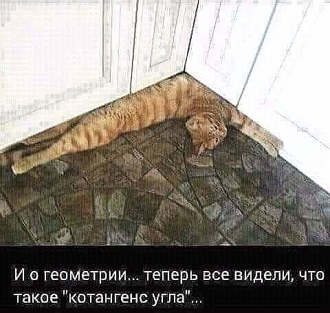 И о геомвтрии теперь все видели что такое котангенс угла