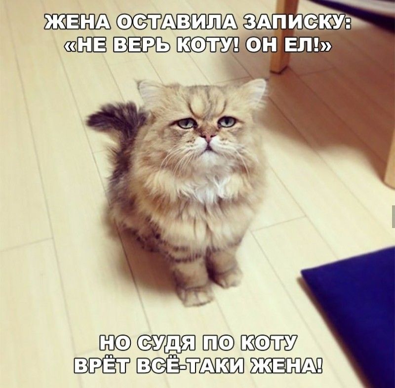 ТАвипА 3А_И_КУ 2 верь кати ММ Ё