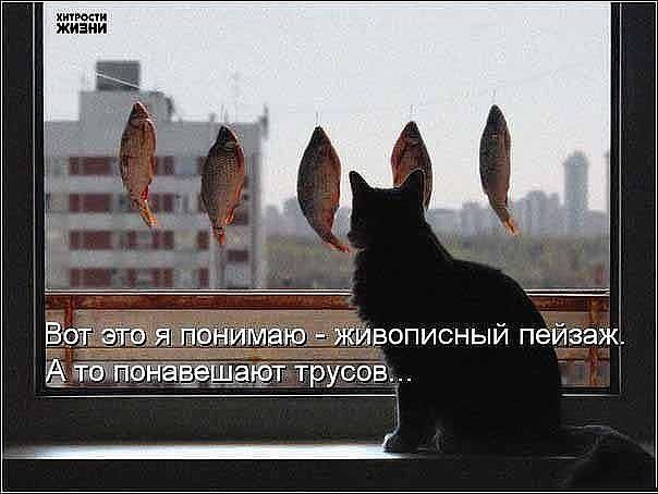 химии жизни