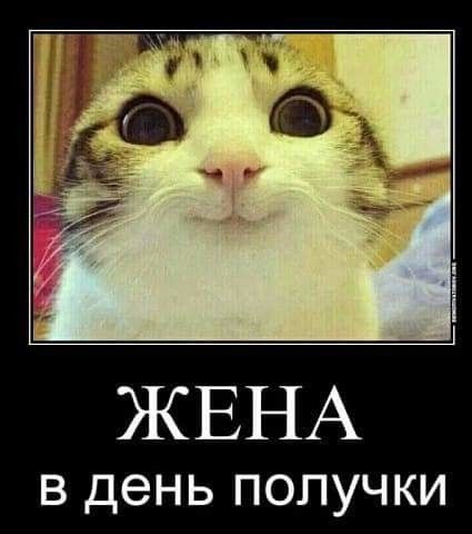 ЖЕНА В день ПОЛУЧКИ