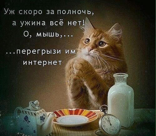 Уж скоро за полночь а ужина всё нет О мышь
