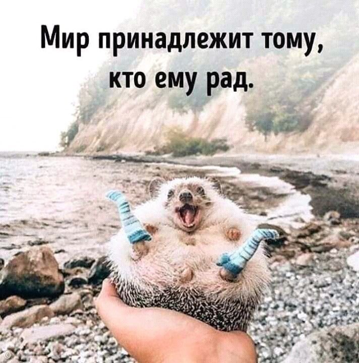 Мир принадлежит тому кто ему_ рад