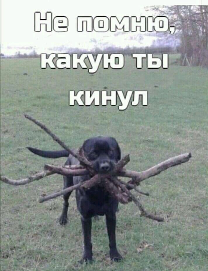 какую ты кинул