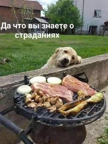 Ях