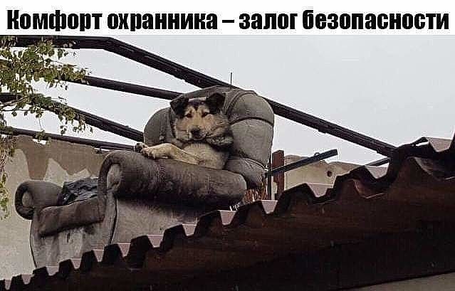 ПМШПШ ШШШШИНВ залог безопасности