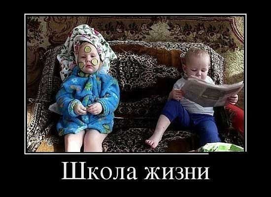 Школа жизни