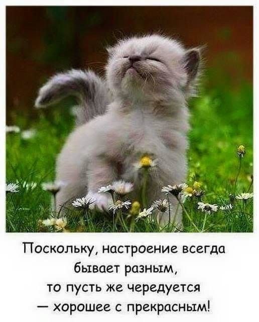 Поскольку настроение всегда бывает разным то пусть же чередуется хорошее с прекрасным