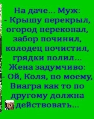 н дис Муж Крышу пер крил огород пороно починил колодец почистил гряд полил ж видунию ОП Коля по воску Виагр и то по году должн дго