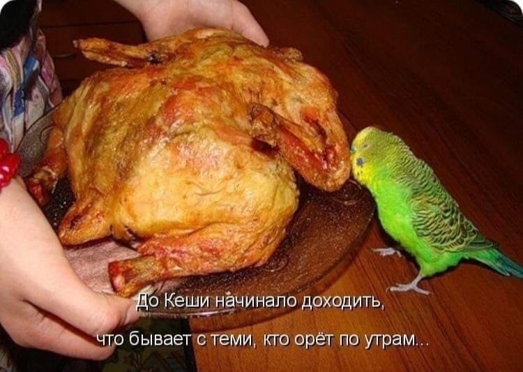 бывает с теми кто врёт по утрам