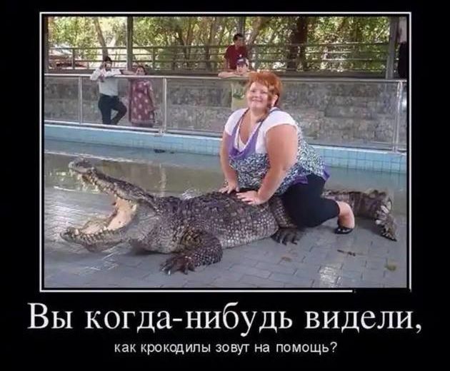 Вы когда нибудь видели как крокодилы зовут на помощь