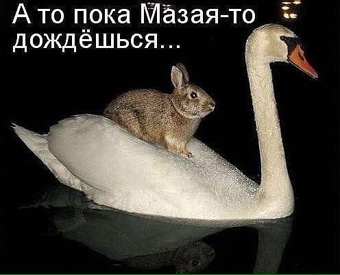 Ато пока 7азаято дождёшься