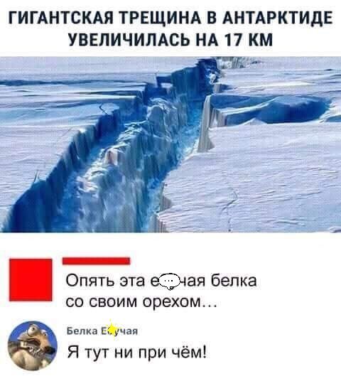 ГИГАНТСКАЯ ТРЕЩИНА В АНТАРКТИДЕ УВЕЛИЧИПАСЬ НА 17 КМ _ Опять эта еЭая белка СО СВОИМ орехом Белка Юная Я тут ни при чём