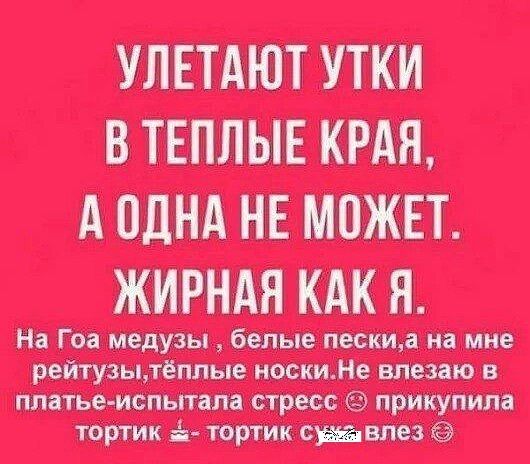 ПШ джипы ты ют Митни