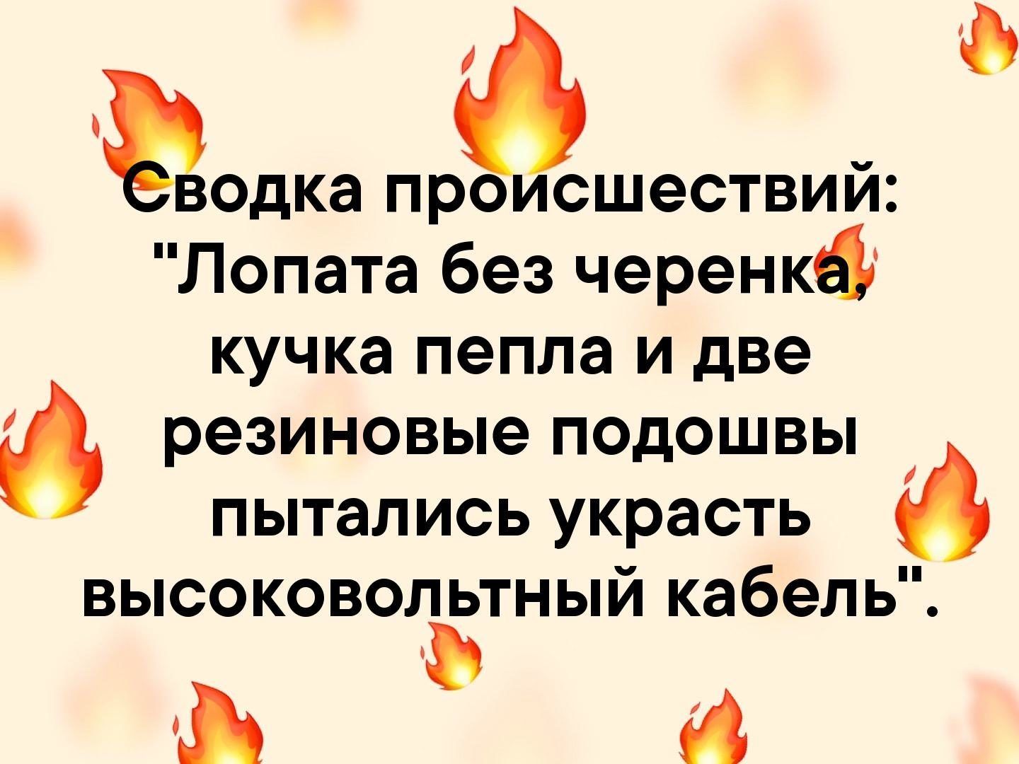 водка происшествий Лопата без черенкд кучка пепла и две резиновые подошвы пытались украсть высоковольтный кабель Ю