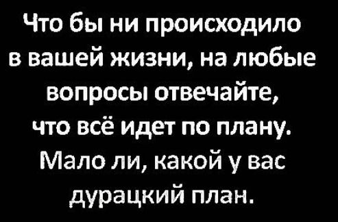 Что бы ни происходило в вашей жизни на любые вопросы отвечайте что всё идет по плану Мало ли какой у вас дурацкий план