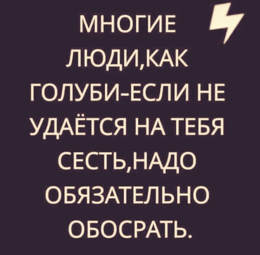 многие ЛЮДИКАК ГОЛУБИЕСЛИ НЕ УДАЁТСЯ НА ТЕБЯ СЕСТЬНАДО ОБЯЗАТЕЛЬНО ОБОСРАТЬ