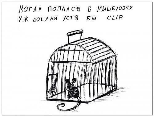 НОГМ ПОПААСЯ В мышамаку ж догмы ХОТЯ вы СЫР