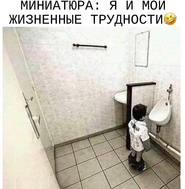 МИНИАТЮРА Я И МОИ ЖИЗНЕННЫЕ ТРУДНОСТИЙ