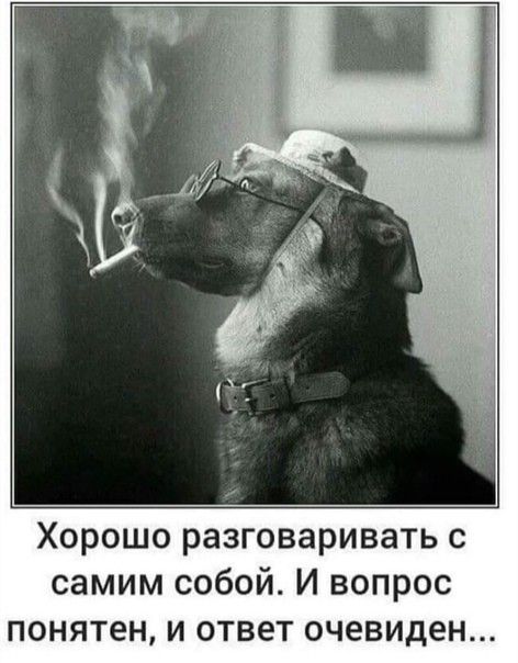 Хорошо разговаривать с самим собой И вопрос понятен и ответ очевиден