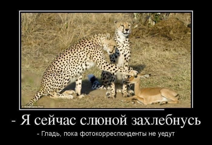 г Я сейчас слюной захлебнусь Гпадь пока фотокорреспонденгы не уедут
