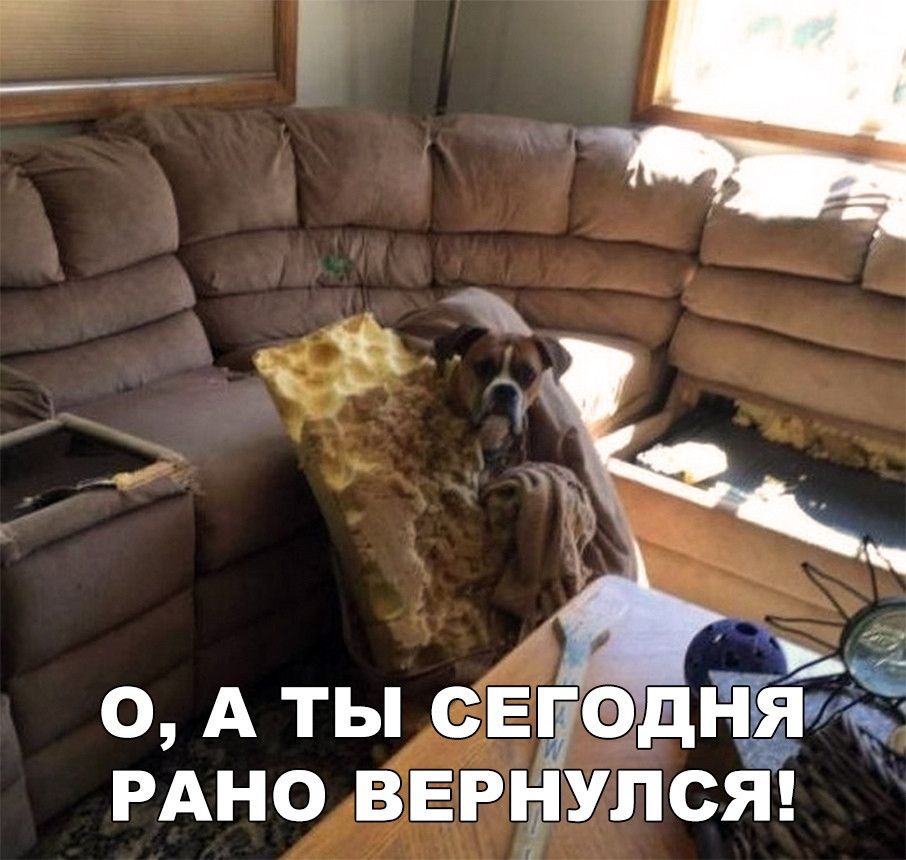 о А ты свуод ітэ РАНО вернулст