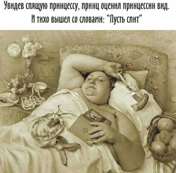 Увидев спящую принцессу принц оценил принцессин вид тихо вышел со словами Пупь спит