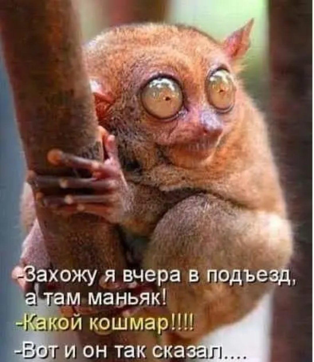 ахожу я вчера в пьрдъе м маньяк ой кошмар и он так ска