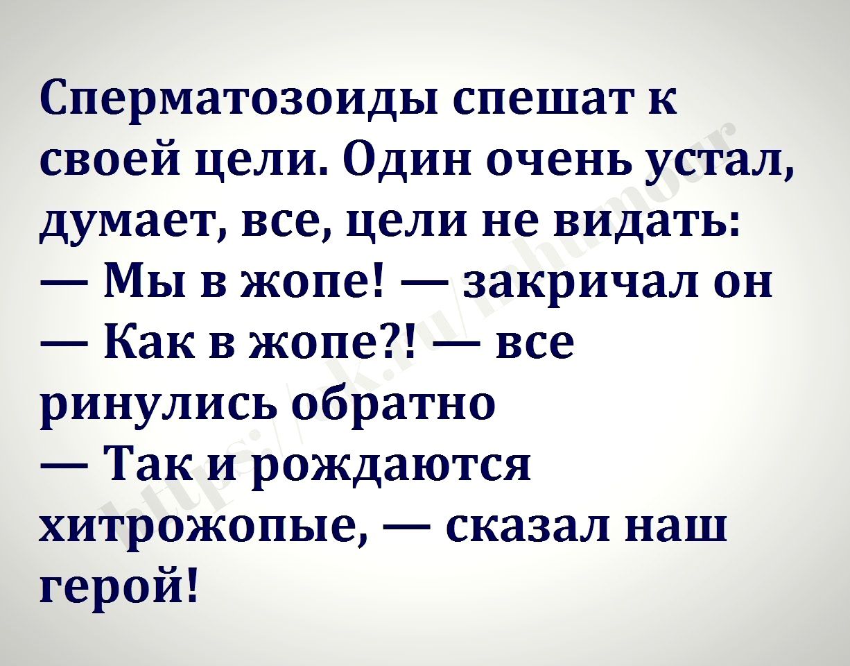 Сперматозоиды спешат к своей цели Один очень устал думает все цели не видать Мы в жопе закричал он Как в жопе все ринулись обратно Так и рождаются хитрожопые сказал наш герой